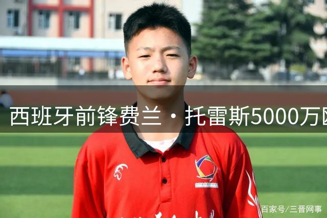 西班牙前锋费兰·托雷斯5000万欧加盟巴黎